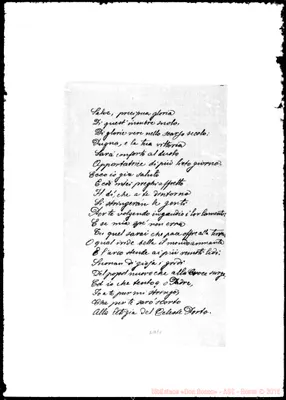 Fotogramma E 8