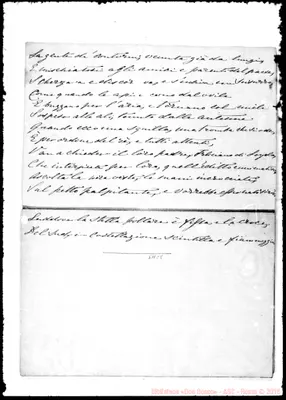 Fotogramma C 8