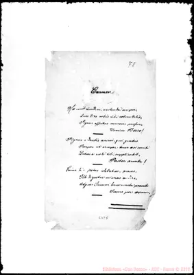 Fotogramma E 5