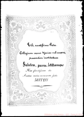 Fotogramma D 11