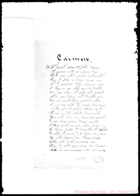 Fotogramma D 12