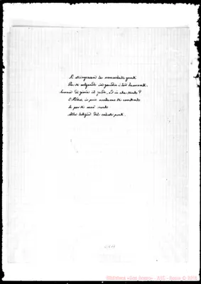 Fotogramma D 7