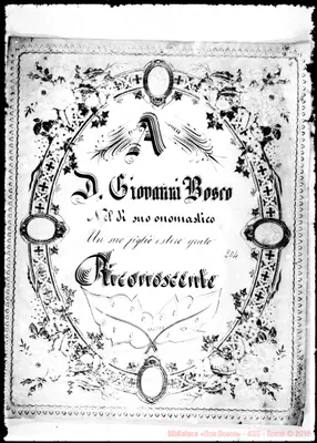 Fotogramma C 12