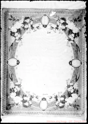 Fotogramma D 3