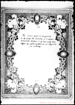 Fotogramma D 8