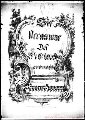 Fotogramma C 12
