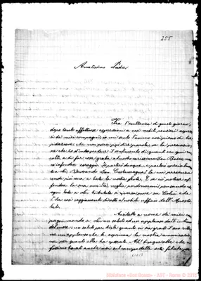 Fotogramma C 7