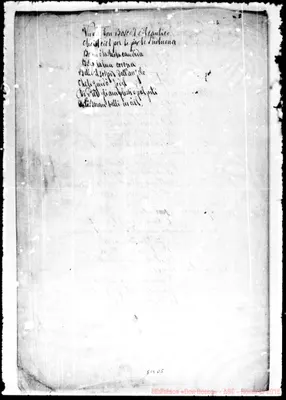 Fotogramma D 5