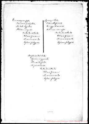 Fotogramma D 11