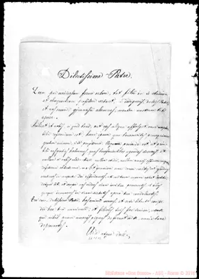 Fotogramma C 11