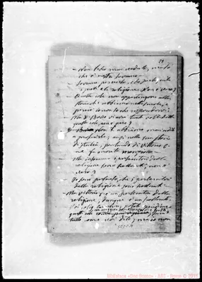Fotogramma C 11