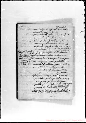 Fotogramma D 12