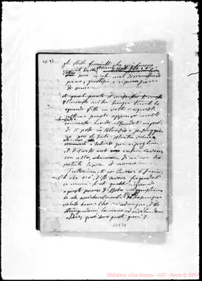 Fotogramma E 8
