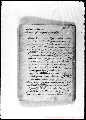 Fotogramma D 3