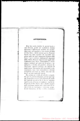 Fotogramma B 1