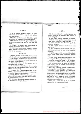 Fotogramma C 6