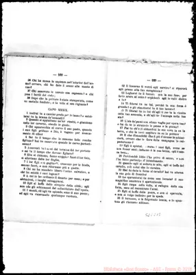 Fotogramma C 12