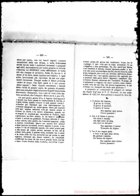Fotogramma D 6