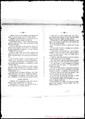 Fotogramma D 8
