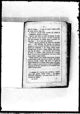 Fotogramma B 8