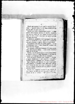 Fotogramma B 10
