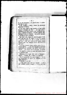 Fotogramma C 5