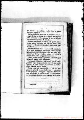 Fotogramma C 8