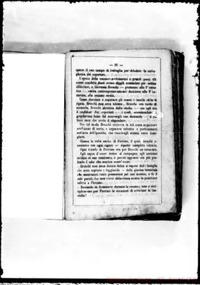 Fotogramma C 10