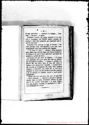 Fotogramma D 10