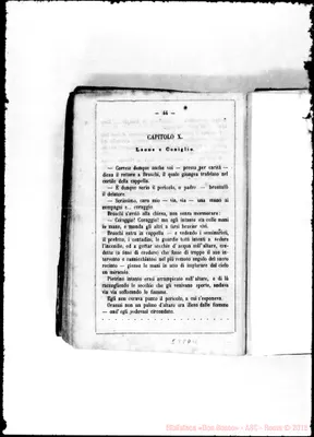 Fotogramma D 11