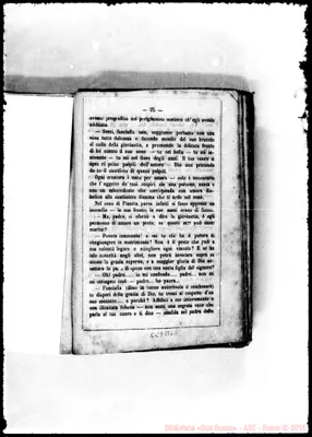 Fotogramma B 6