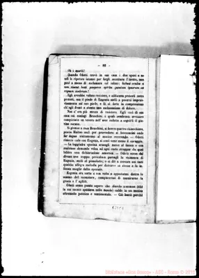 Fotogramma C 1