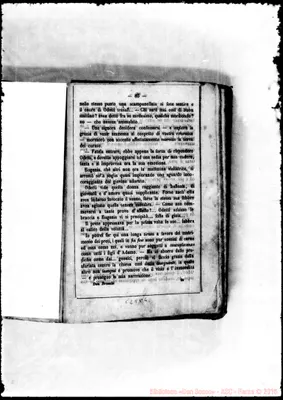 Fotogramma C 4