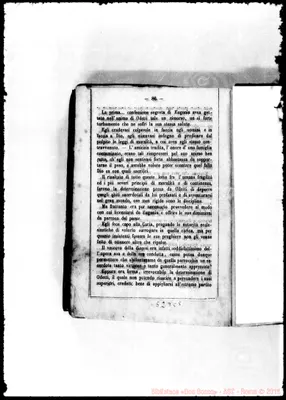 Fotogramma C 5