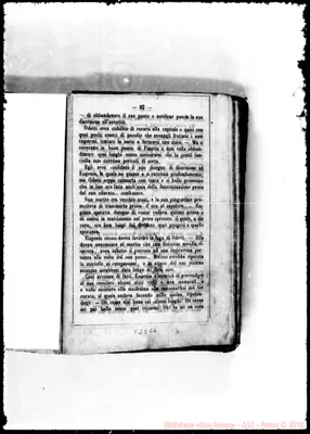 Fotogramma C 6
