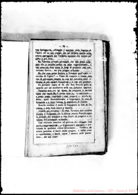Fotogramma C 10