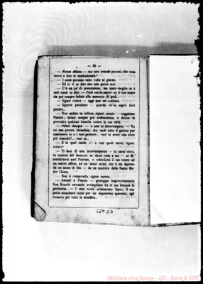 Fotogramma D 3