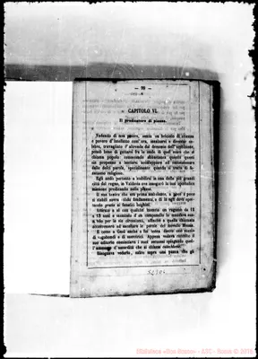 Fotogramma D 6
