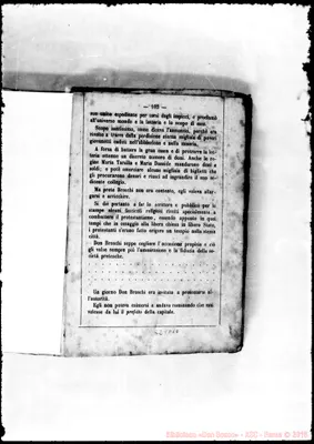 Fotogramma D 10