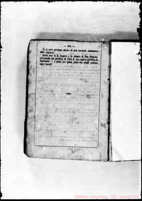 Fotogramma D 11