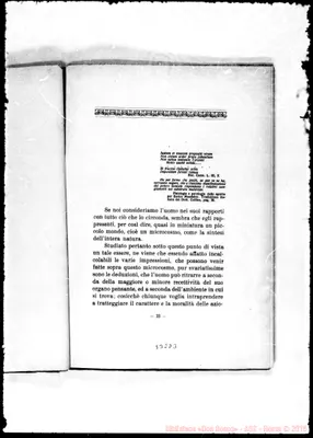 Fotogramma D 3