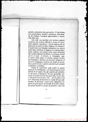 Fotogramma D 11