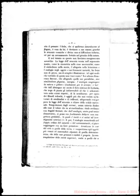 Fotogramma E 6