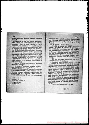 Fotogramma C 5