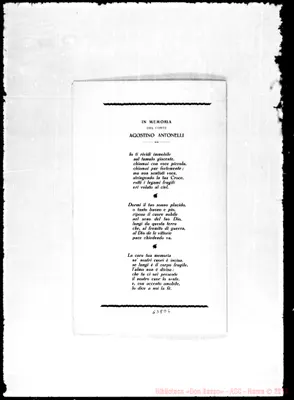 Fotogramma D 6