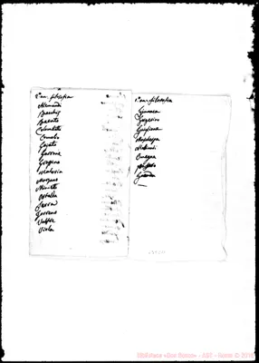 Fotogramma C 11