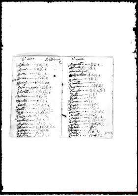 Fotogramma D 3