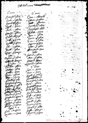 Fotogramma D 8