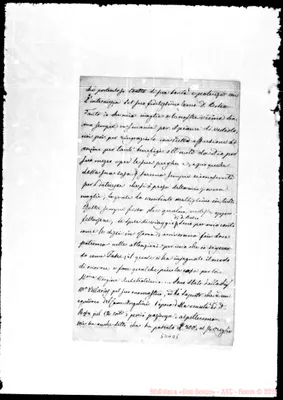 Fotogramma D 5
