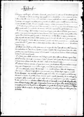 Fotogramma C 7